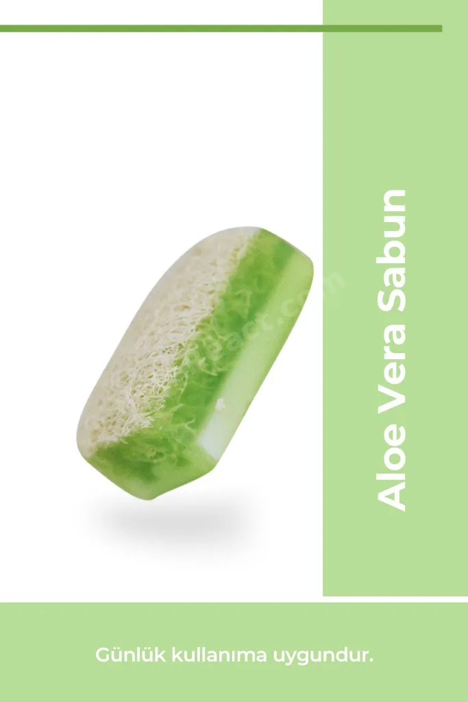 Doğal Kabak Lifli Aloe Vera Sabunu 100 gr x 4 Adet