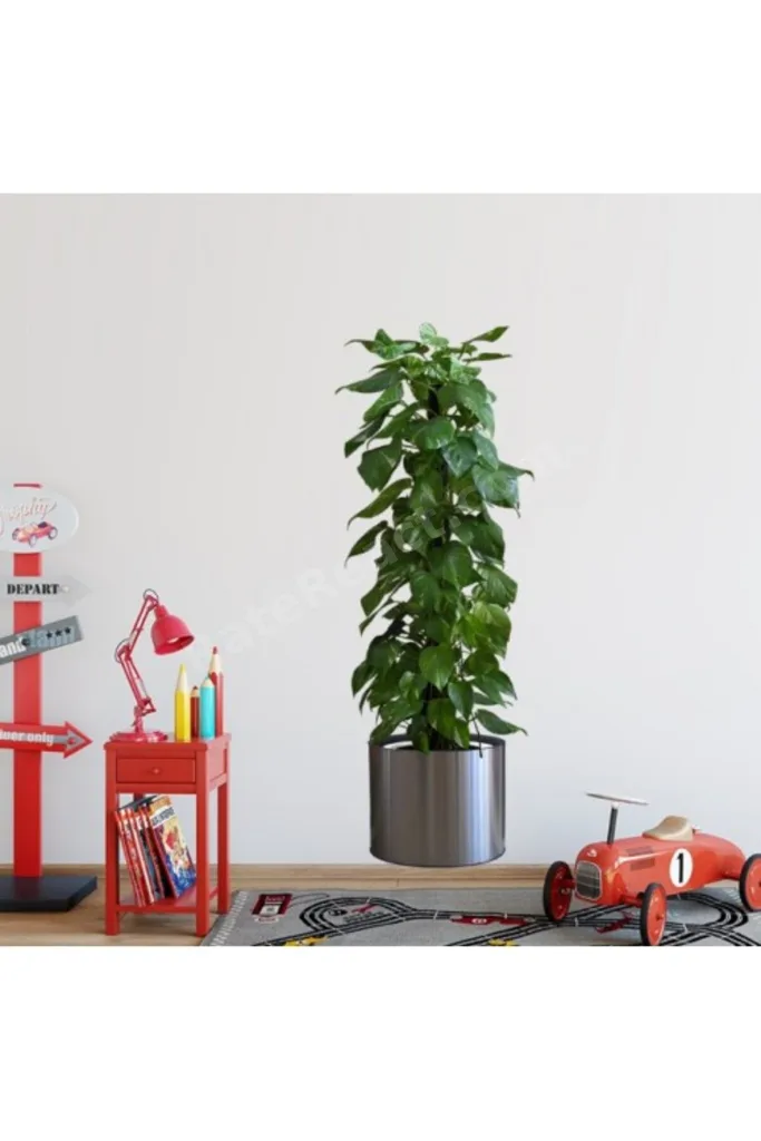 Saksılı Bitki Tasarımlıı Yapışkanlı Sticker Resim 90*30 cm MC-665 (ij)