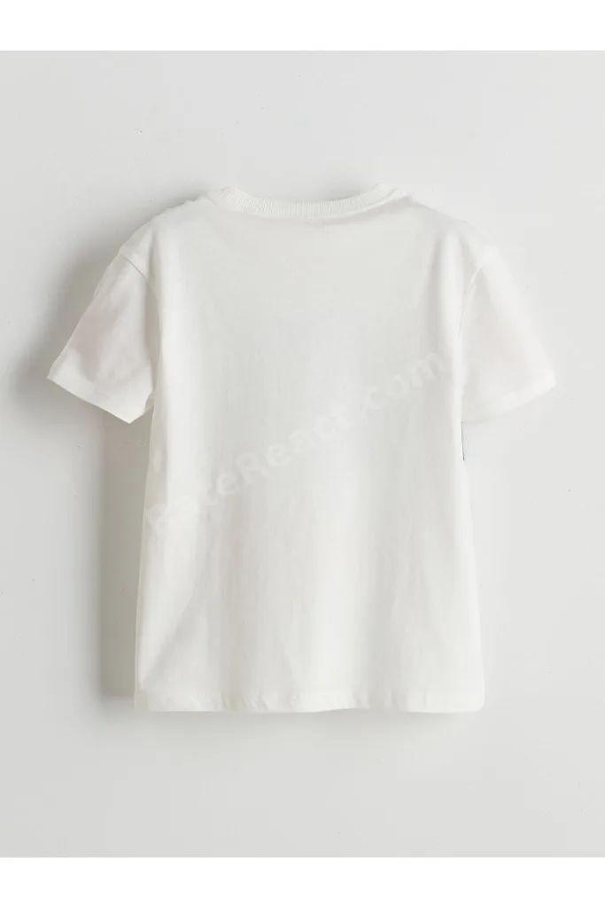 UZG STORE'dan Stil Sahiplerine Dinozor Baskılı Erkek Çocuk T-shirt 3'lü