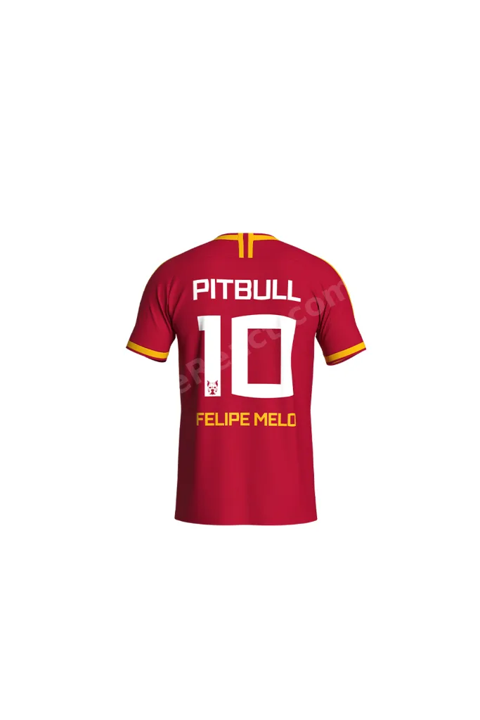 Galatasaray Felipe Melo Legends T-Shirt C232392