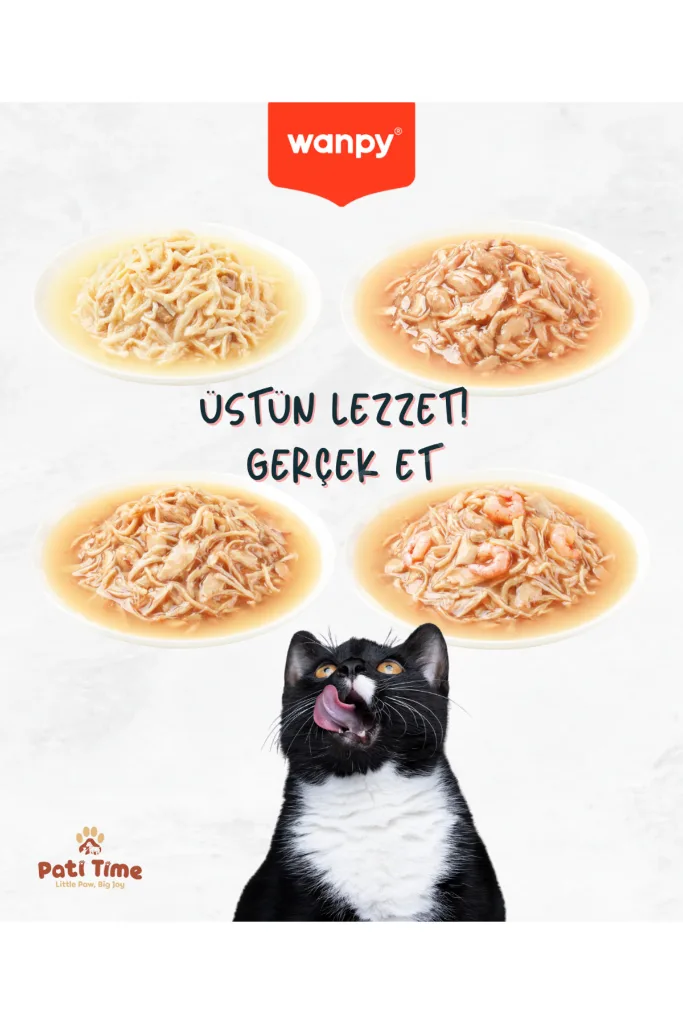 12li Karışık Yetişkin Kedi Yaş Maması 4 Lezzet Premium Kalite 12 x 70 gr