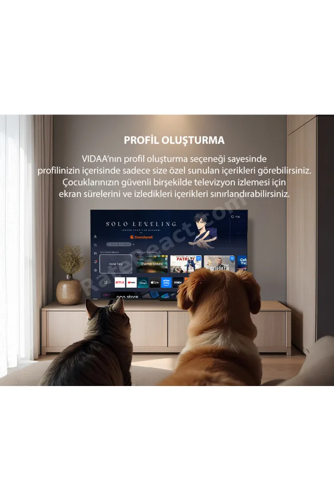 65UV3463DT 65" 165 Ekran Uydu Alıcılı 4K Ultra HD Smart Vidaa TV