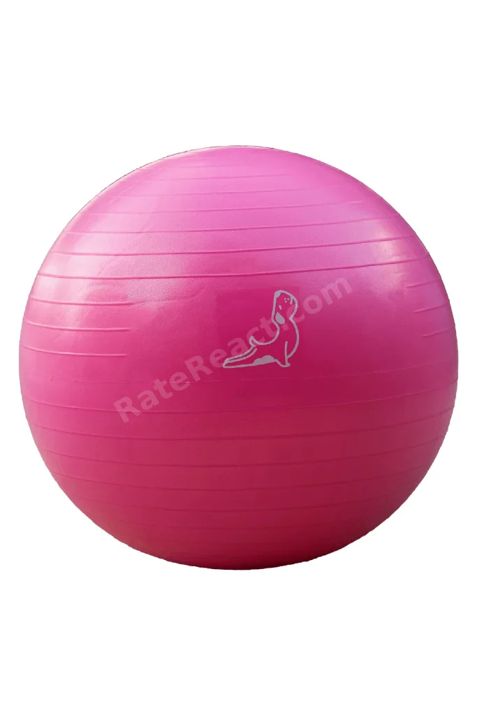 65 cm Pilates Topu Patlamaya Dayanıklı Pompa Dahil Pembe