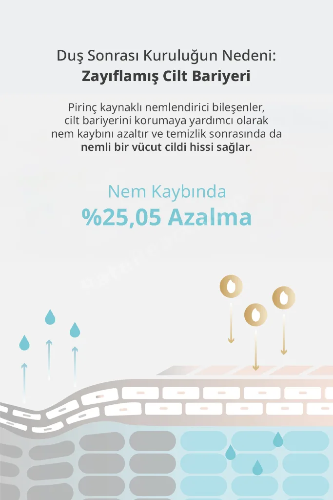 Cildi Kurutmadan Arındıran, Pirinç Sütü Özlü Besleyici Duş Jeli Rice Milk Body Wash