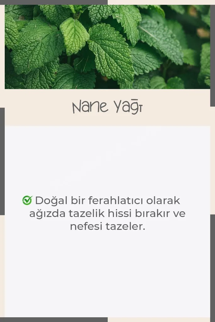 Bentonit Kil Etkili Çilek Aromalı Diş Macunu - 75ml