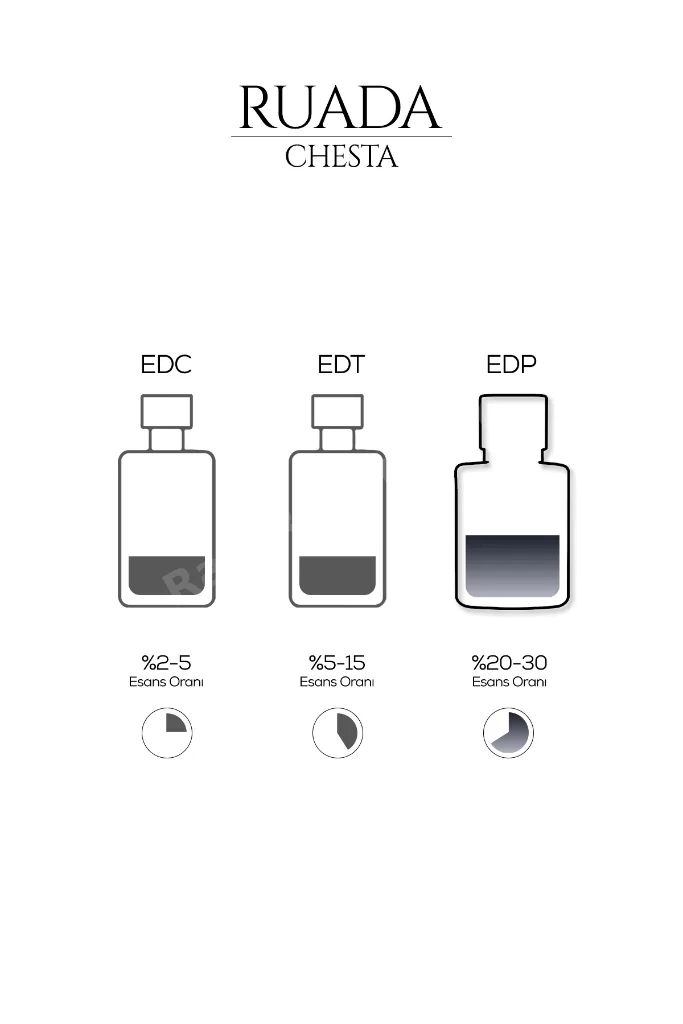 Chesta Erkek Parfüm 50 ML – Baharatlı, Odunsu Notalı Kalıcı EDP Parfüm