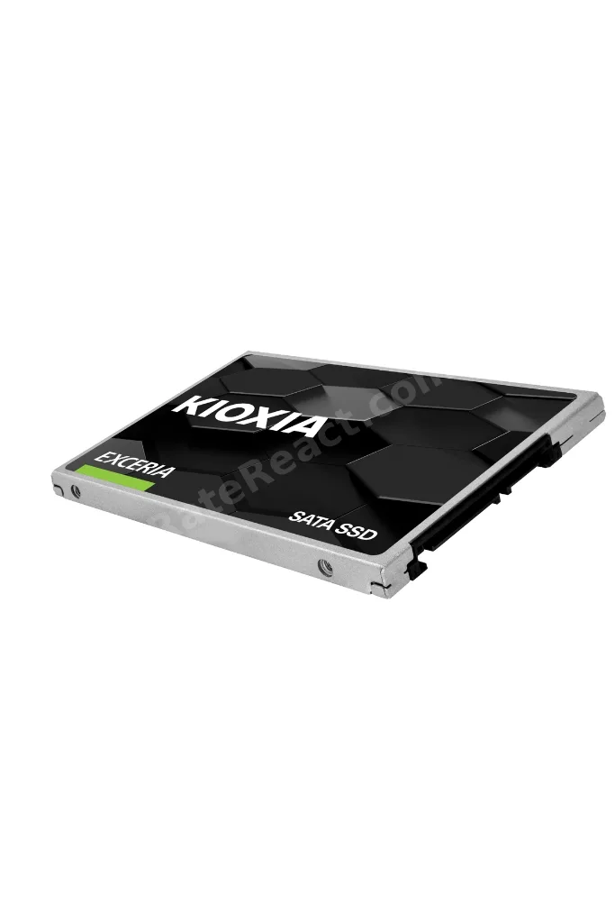 960GB EXCERIA 2.5" 3D 555/540 MB/sn 3Yıl (LTC10Z960GG8)
