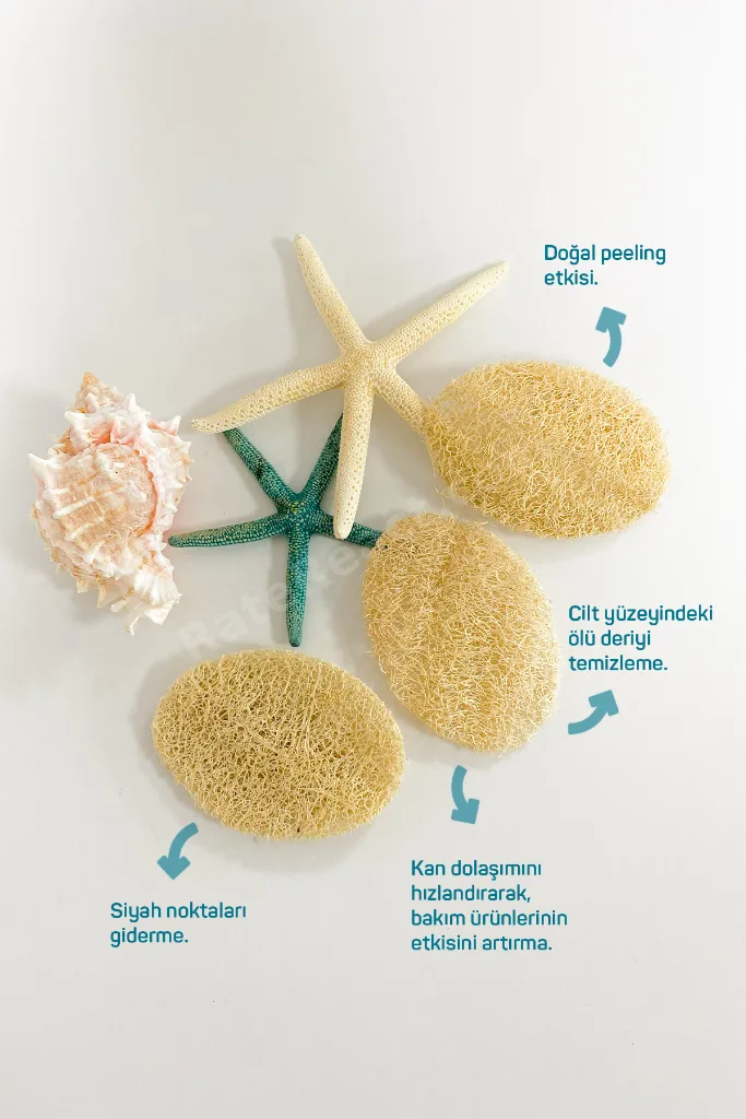 Kabak Peelıng Disk( 6 Lı Paket) - Banyo Lifi