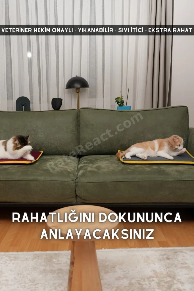 Serin (60X40CM) - 4 Mevsim Kedi/ Köpek Matı, Sıcak Veya Soğuk Kullanılabilen Minder Yatak