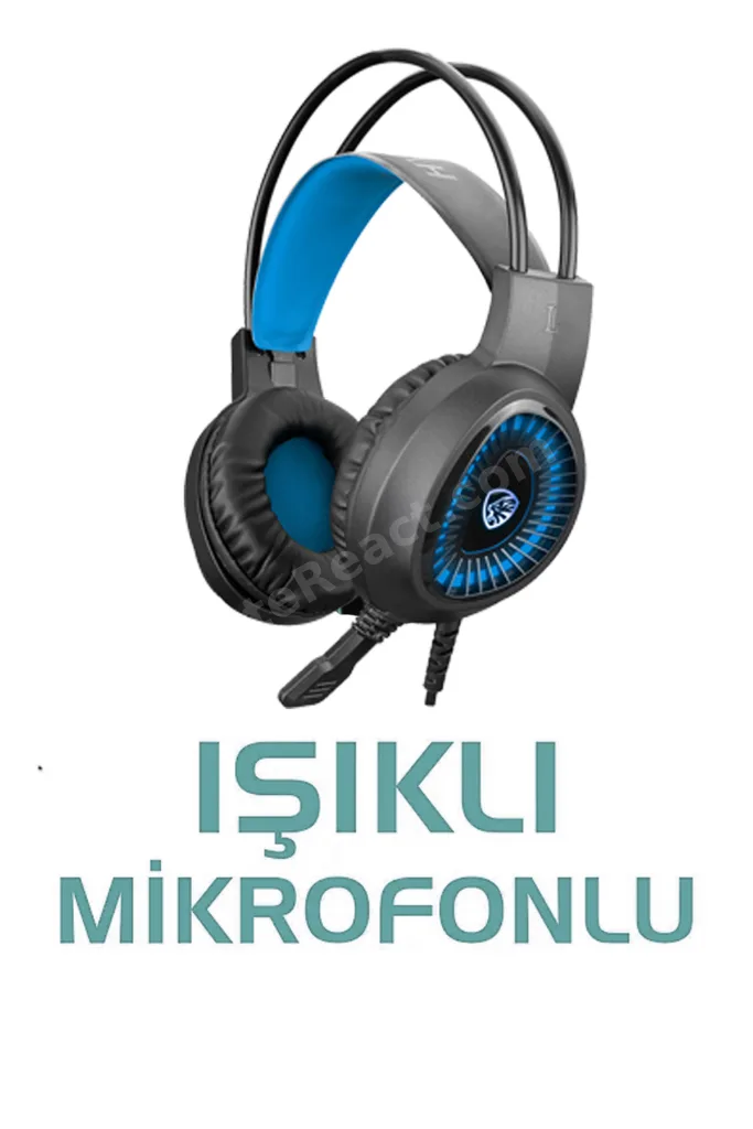 N181x Windows 11 Ryzen 5 5500,16GB,500GB HDD,256GB SSD,4GB RX550,24"oyuncu Masaüstü Bilgisayar