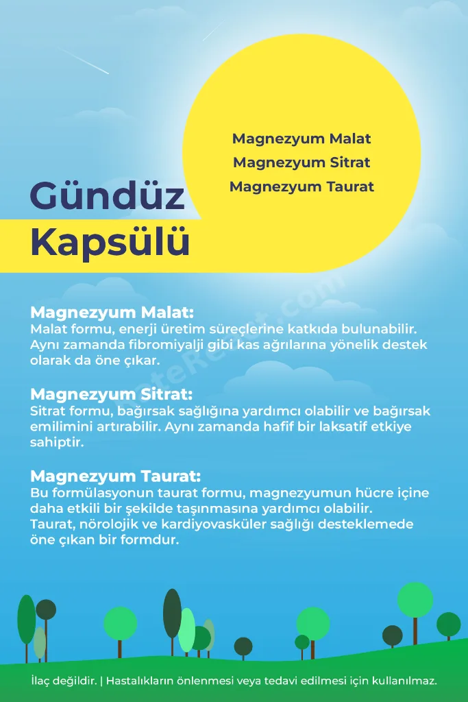 Magnezyum Kompleks Gündüz&Gece Glisinat-Malat-Sitrat-Taurat 60 Tablet