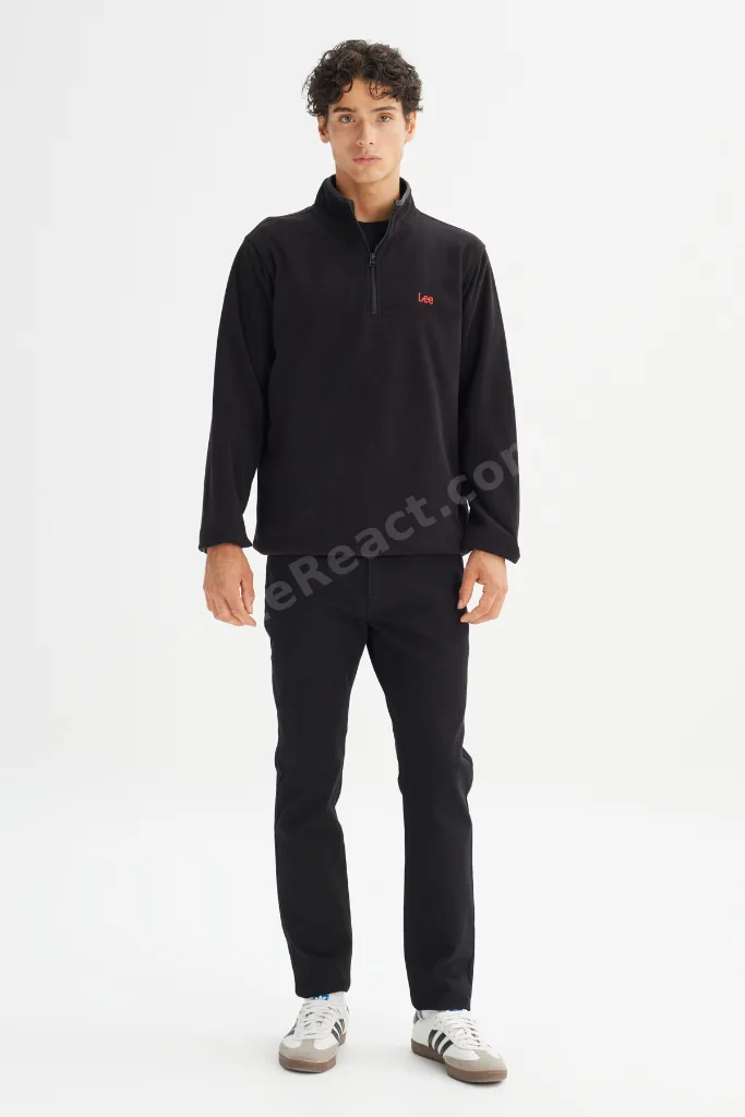 Regular Fit Normal Kesim Dik Yaka Fermuarlı Erkek Siyah Polar