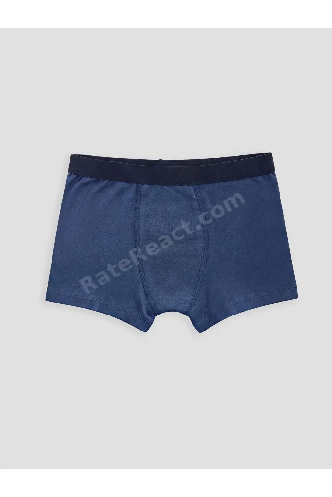 LCW Kids Mavi Erkek Çocuk 3'lü Boxer