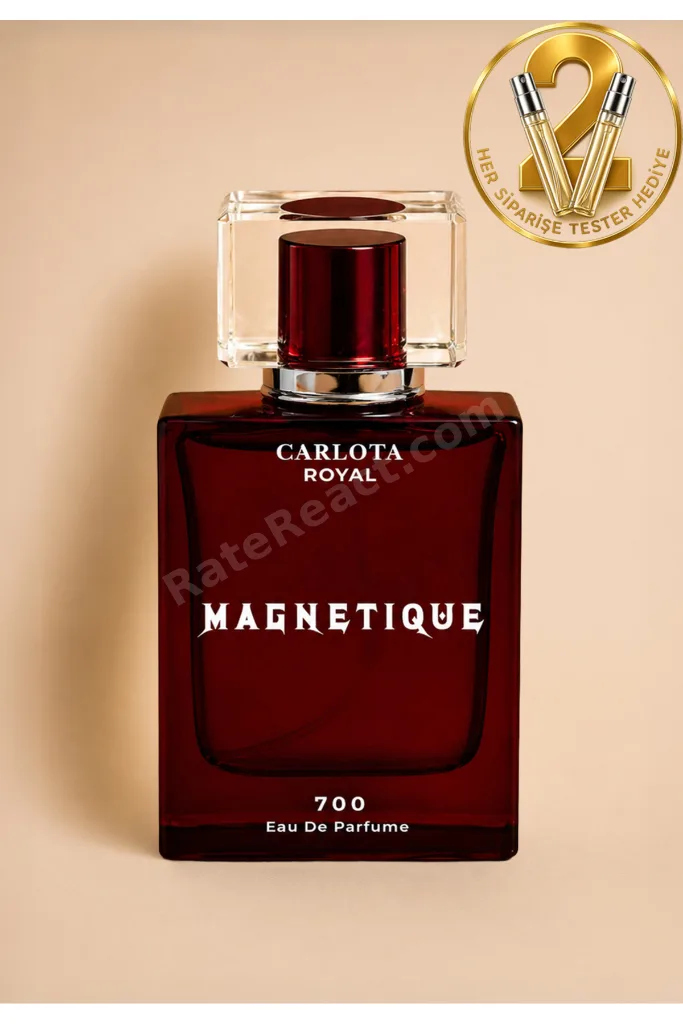Magnetique Erkek Parfüm 50ml