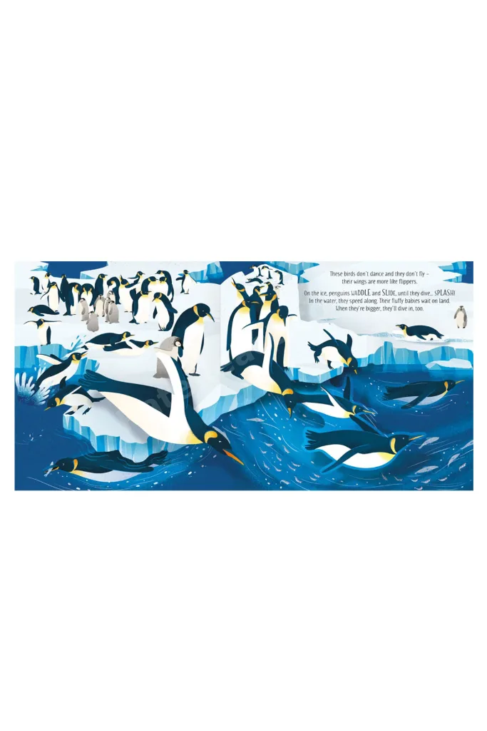 Pop Up Birds Publishing
