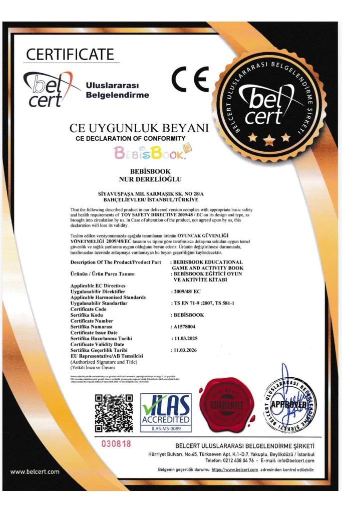Keçe Dikiş Seti | Çocuklar İçin Montessori Dikiş Oyuncağı | 10 Figürlü El Becerisi Geliştirici Set