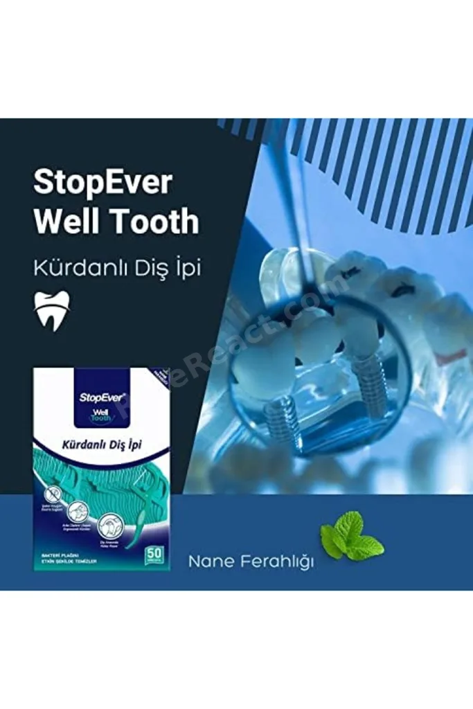 TTKTEKNOLOJİ StopEver Well Tooth Kürdanlı Diş İpi 4'lü Paket | Nane Aromalı | 200 Adet (4 x 50) | Di