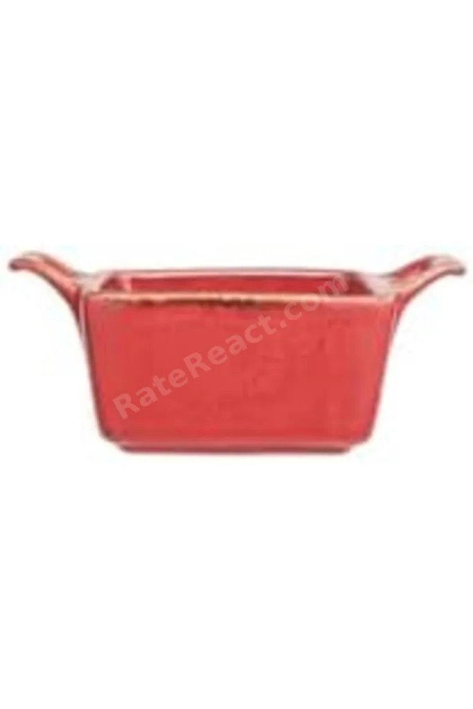 Seasons Kırmızı Mini Kase 10cm revif 827927