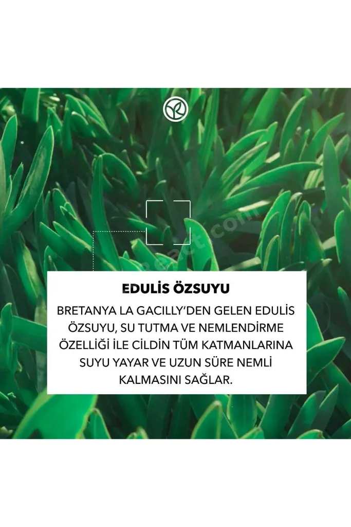 Nem Maskesi - Normal ve Kuru Ciltler- Hydra Water Plump Nemlendirici Botanik Kompleks