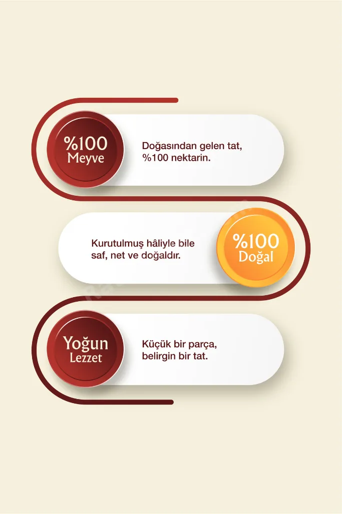 Dizzy Foods Dondurularak Kurutulmuş Meyve Nektarin 20 gr
