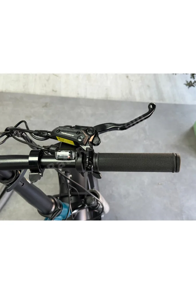 Prostreet T E-Bike Elektrikli Bisiklet Yeşil 2026 - MondiMotor