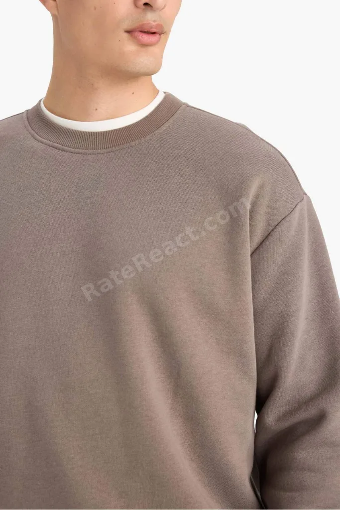 Relax Fit Bisiklet Yaka Kalın İçi Yumuşak Tüylü Basic Düz Sweatshirt T5139AZ25AU