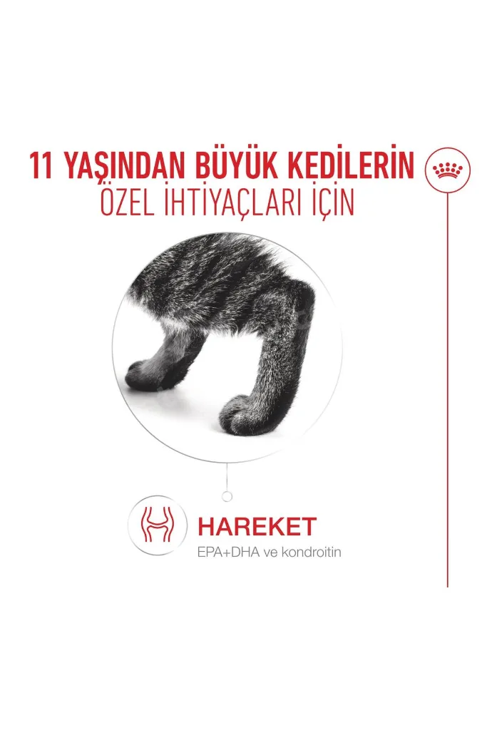 Ageing 11+ Yaşlı Ve Ileri Yaştaki Kedi Yaş Mama 85 gr X 12 Adet Gravy Soslu