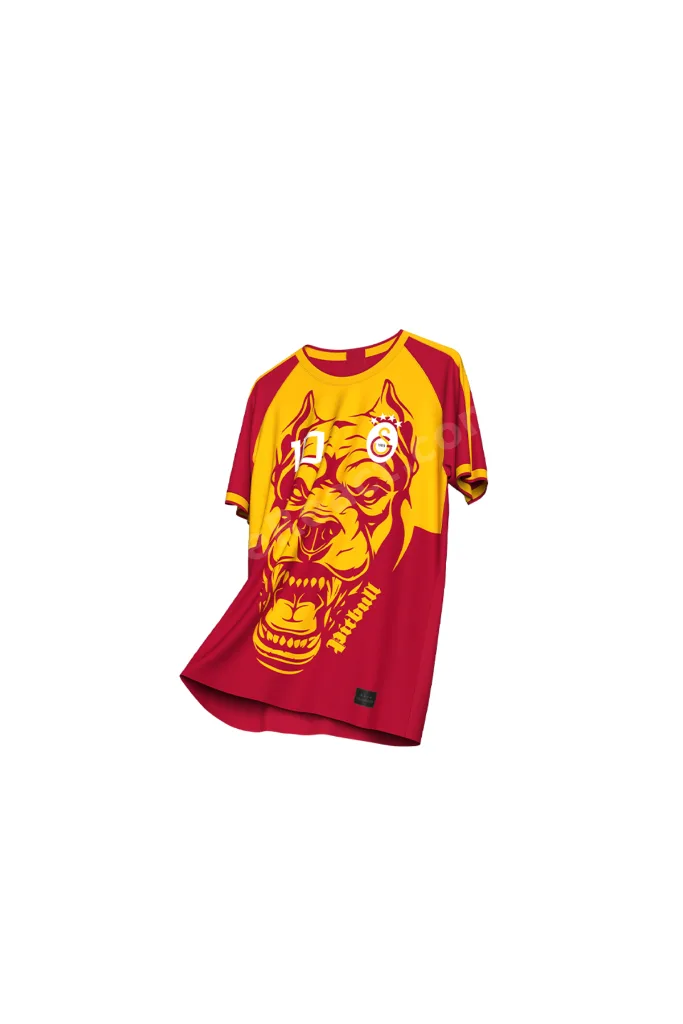 Galatasaray Felipe Melo Legends T-Shirt C232392