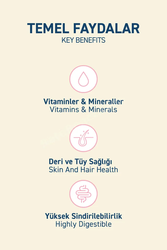 Tavuklu Kuru Yavru Kedi Maması 10 Kg - Besleyici Vitamin İlaveli Tam ve Dengeli Mama