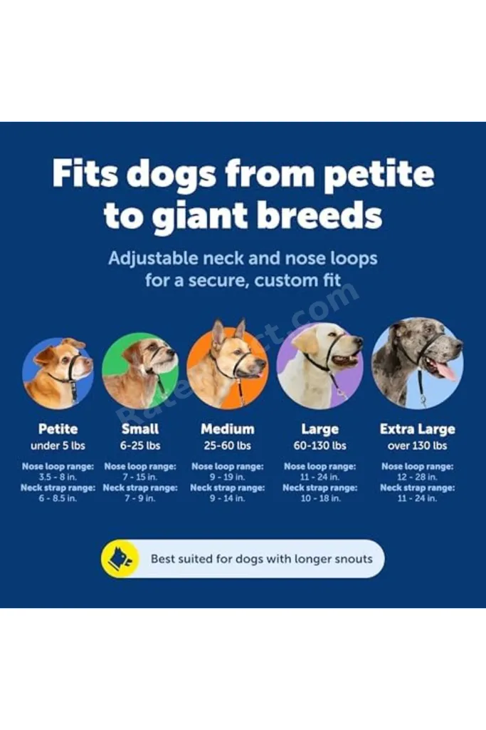 TTKTEKNOLOJİ PetSafe Nazik Lider Çekmesiz Köpek Yaka - Çekmenin En İyi Çözümü - Köpeğinizin Çekmesin