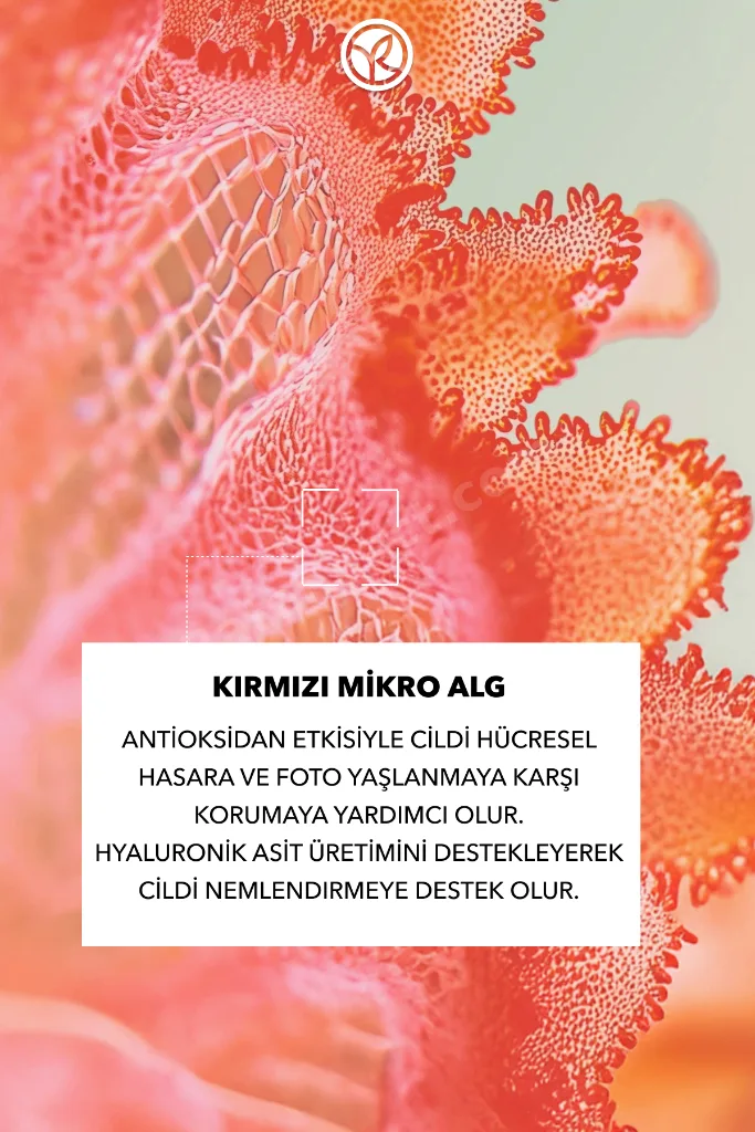 Güneşe Karşı Yüksek Koruma Sağlayan ve Cildini Nemlendirici SPF50 Yüz ve Vücut Güneş Spreyi 150ml