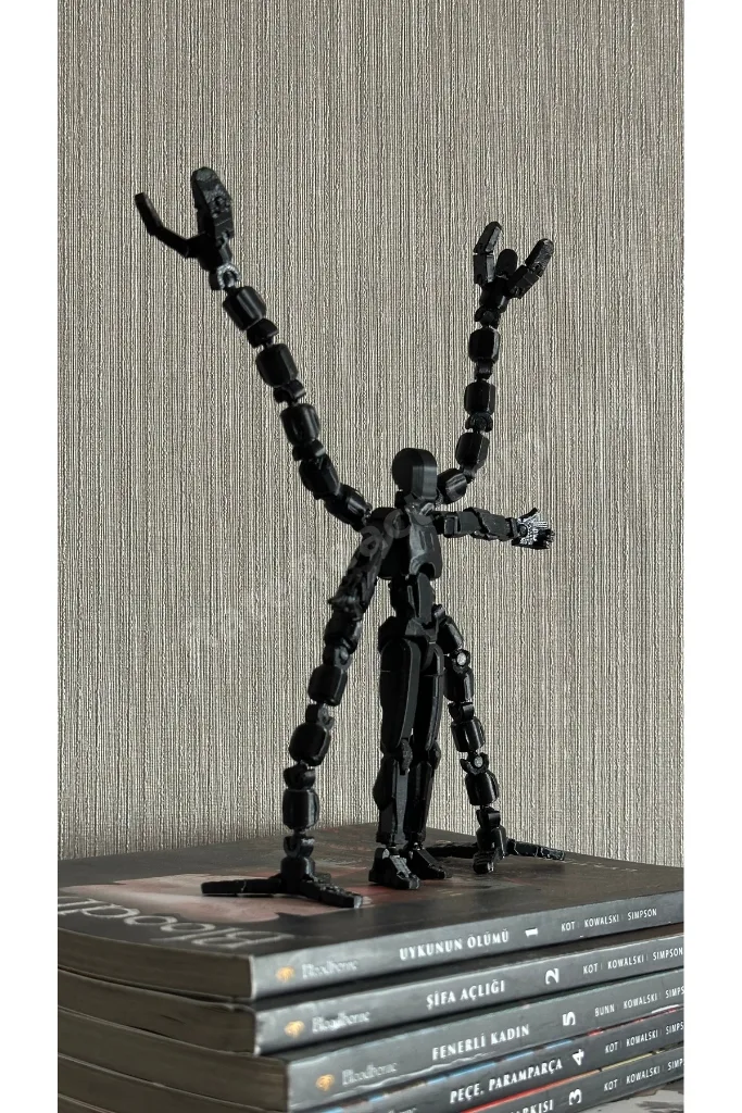 Lucky 13 Aksiyon Figürü Robot Oyuncak 13cm Siyah Siyah ve Mekanik Kol Eklentisi Seti