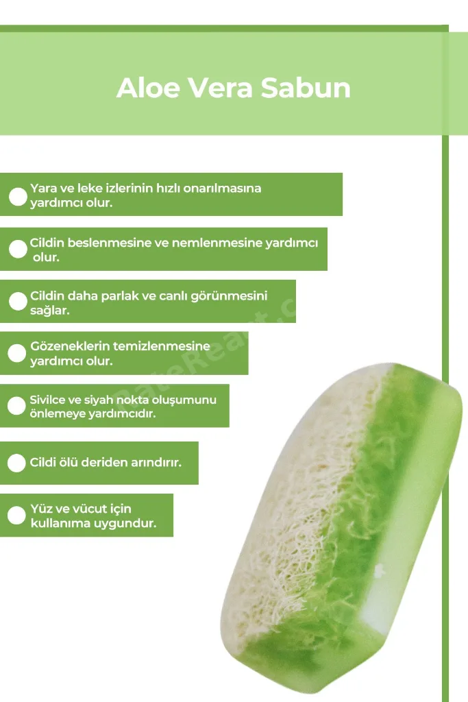 Doğal Kabak Lifli Aloe Vera Sabunu 100 gr x 4 Adet