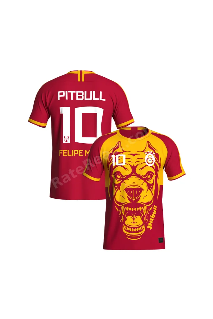 Galatasaray Felipe Melo Legends T-Shirt C232392