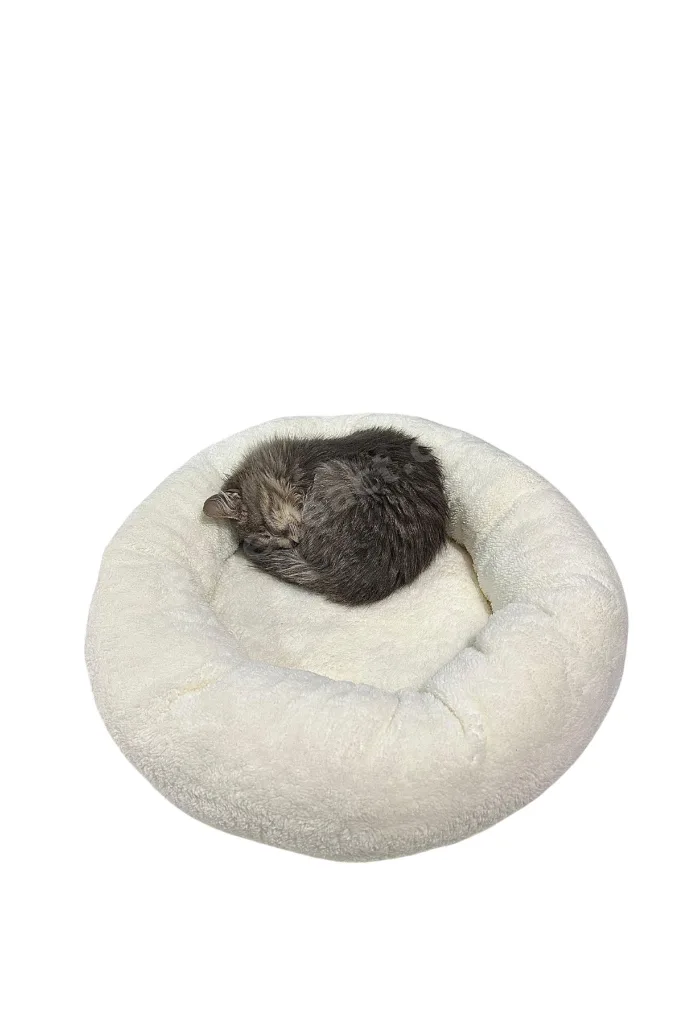 Peluş Kedi ve Köpek Yatağı Sıcak ve Yumuşacık Minder Evcil Hayvan