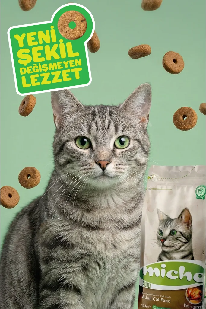 Adult Cat 15 Kg Kedi Maması