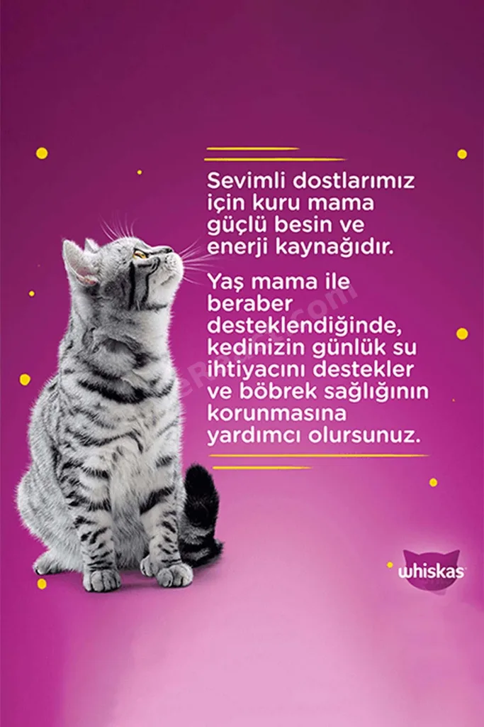 Sığırlı Poşet Kedi Yaş Mama 85 G 9x
