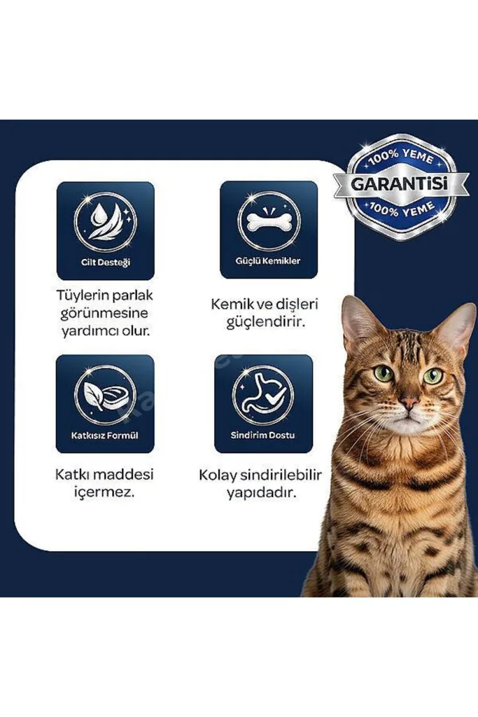 Kitten Tavuklu ve Kızılcıklı Yavru Kedi Maması 2 kg