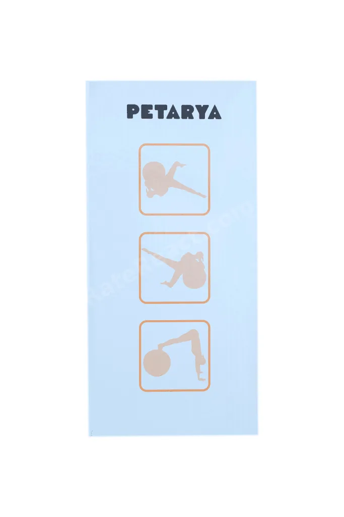 65 cm Pilates Topu Patlamaya Dayanıklı Pompa Dahil Mavi