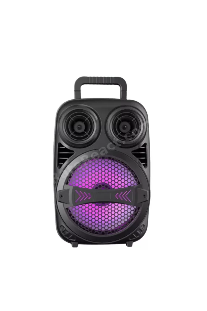BT612 SPEAKER Tengrico Tech