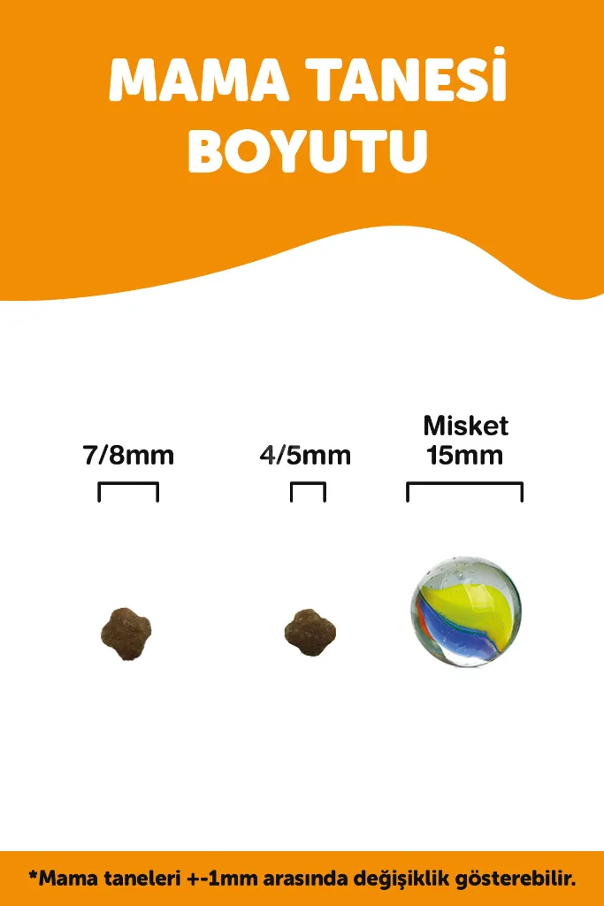 Mother & Baby Kuru Kedi Maması Tavuk Etli 7KG