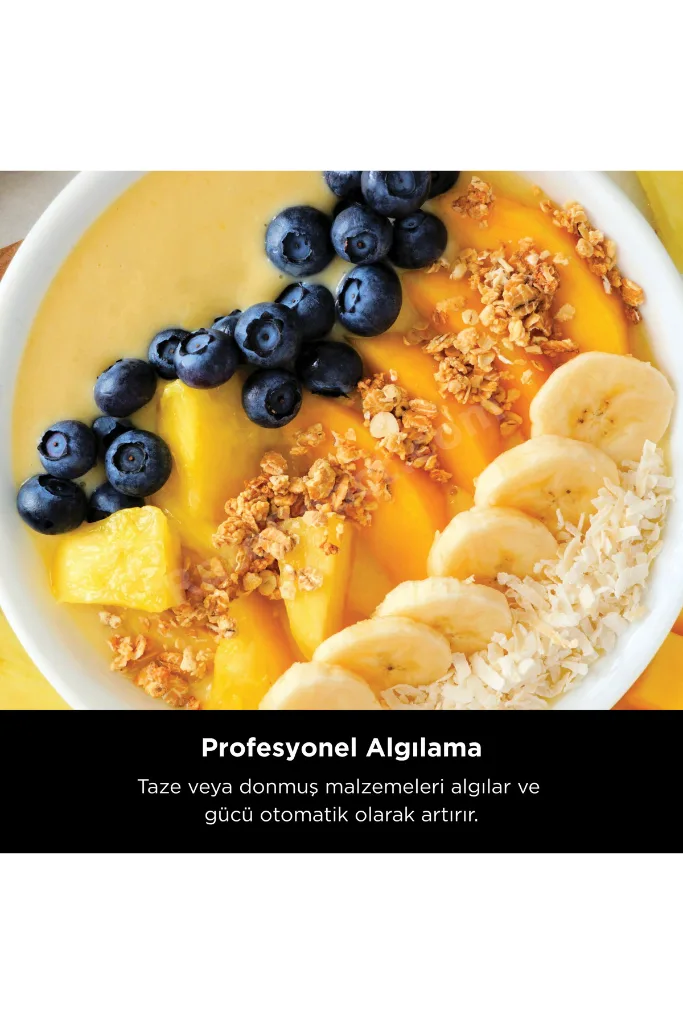 Ninja Detect Pro Blender