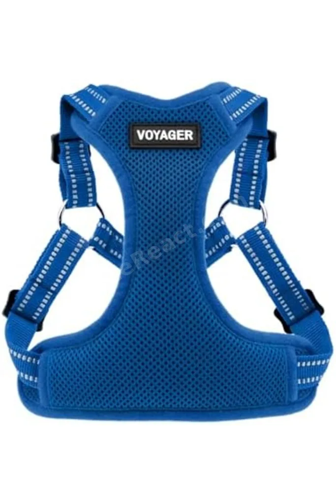 TTKTEKNOLOJİ Voyager by Pet Supplies - Reflektif 3M Şeritli Tamamen Ayarlanabilir Basamaklı Ağ Koşum