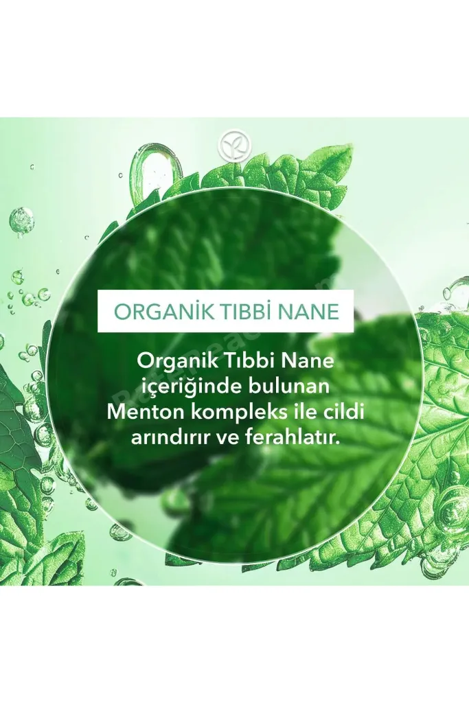 Yüz Peelingi-Karma,Yağlı, Eğilimli Cilt-Pure Menthe Arındırıcı Botanik Kompleks