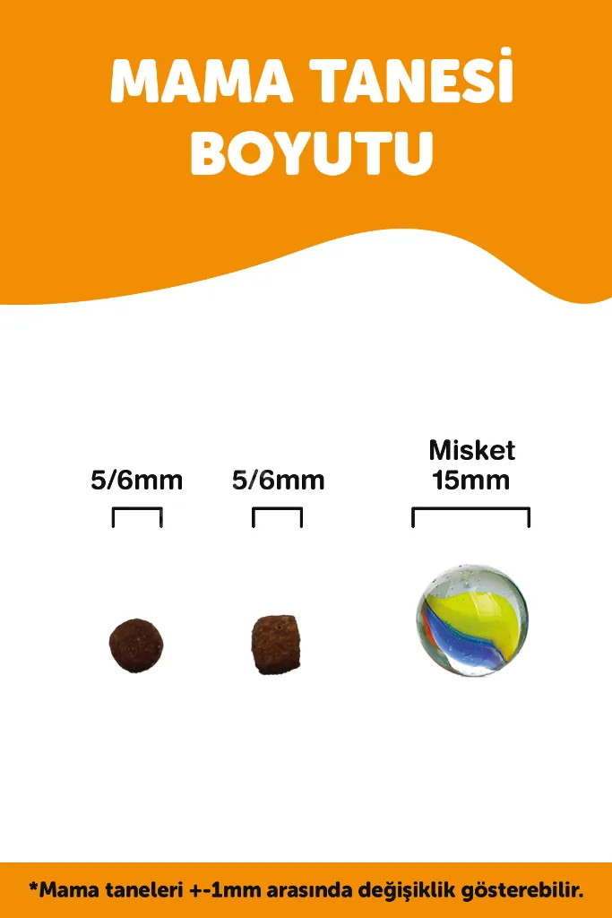 Yavru Kuru Kedi Maması (Daily Growth) - Tavuk Etli ve Pirinçli - 1,5 KG