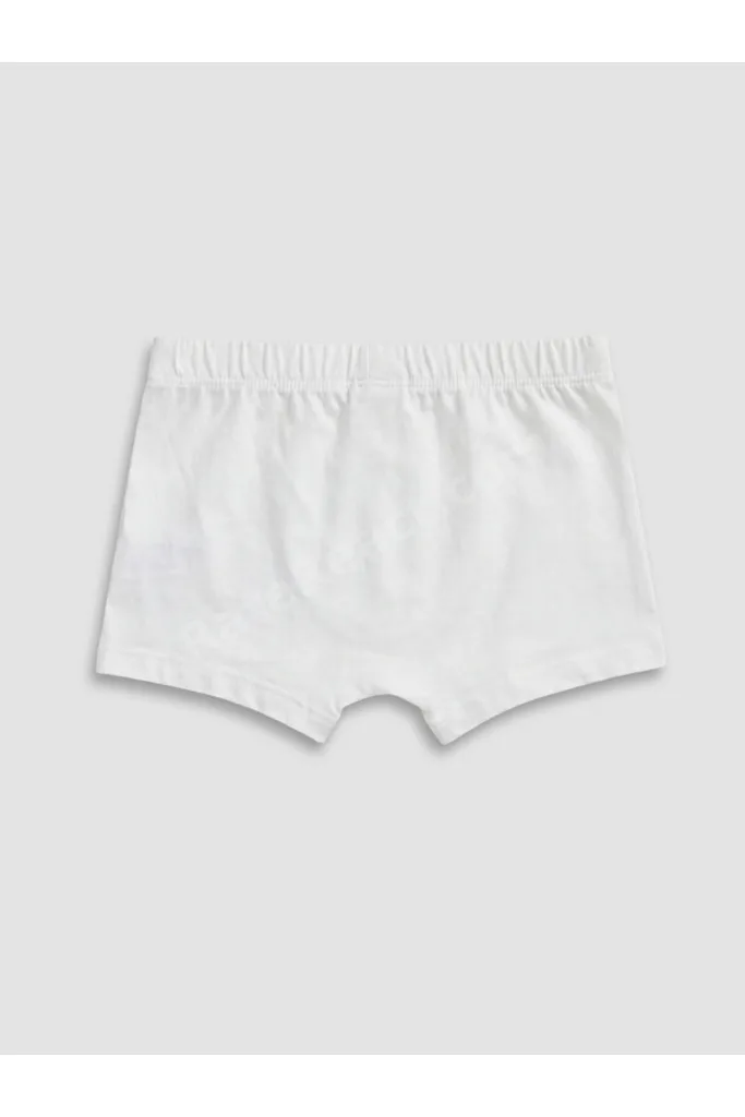 Shining Store'dan Işıltılı Seçimler Erkek Çocuk 3'lü Boxer