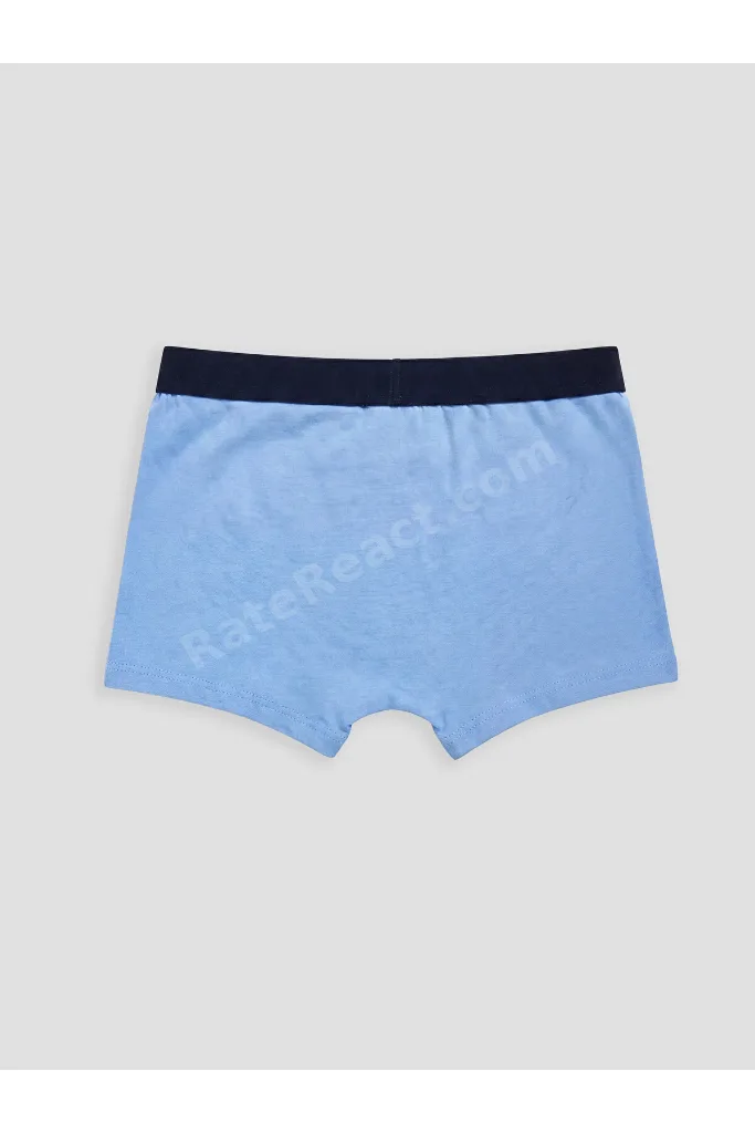 LCW Kids Mavi Erkek Çocuk 3'lü Boxer