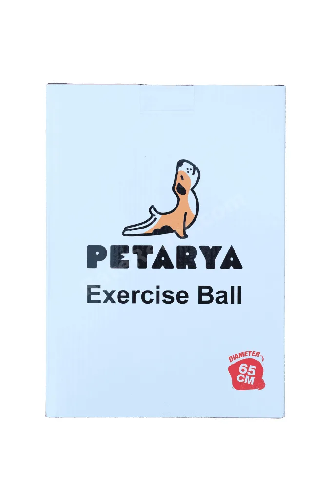 65 cm Pilates Topu Patlamaya Dayanıklı Pompa Dahil Pembe