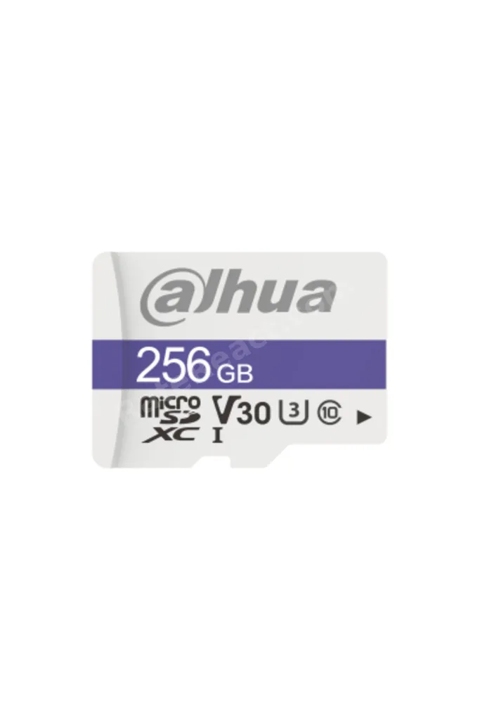 256GB Micro SD Kart TF-C100/256GB