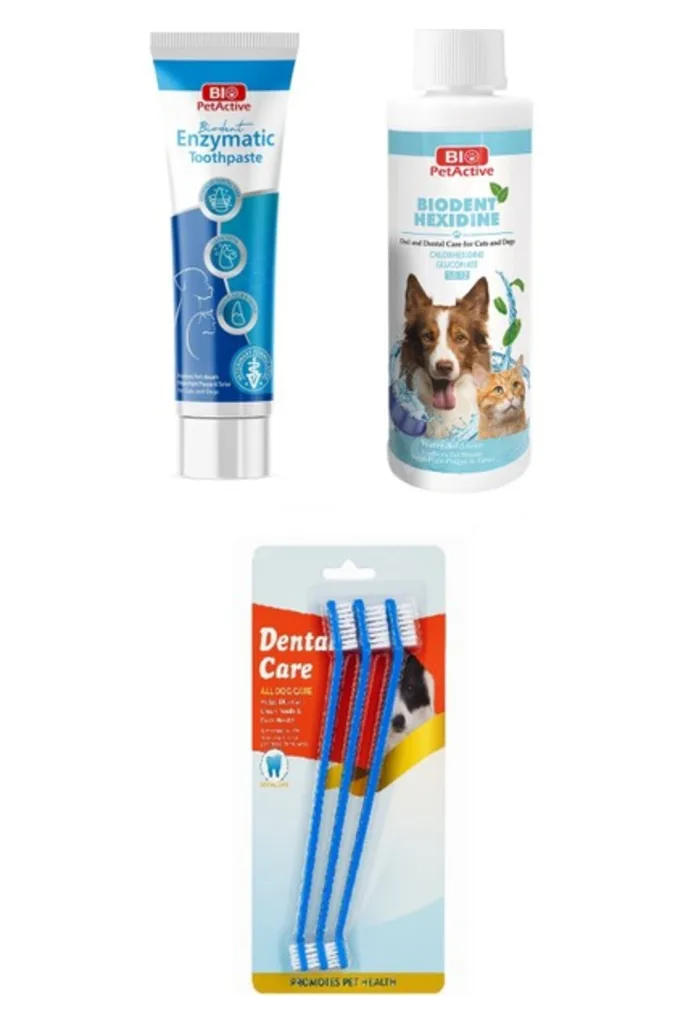Bio Pet Active Biodent Enzymatic Köpek Diş Macunu 100 ml + Biodent Hexid